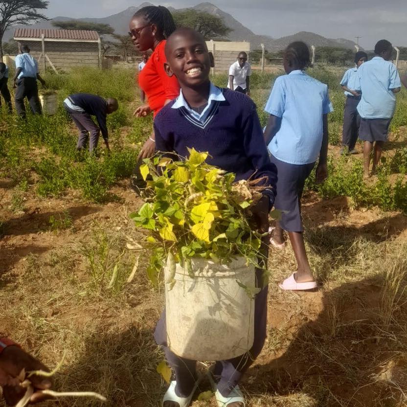 bambino che solleva una cesta di fagioli appena raccolti